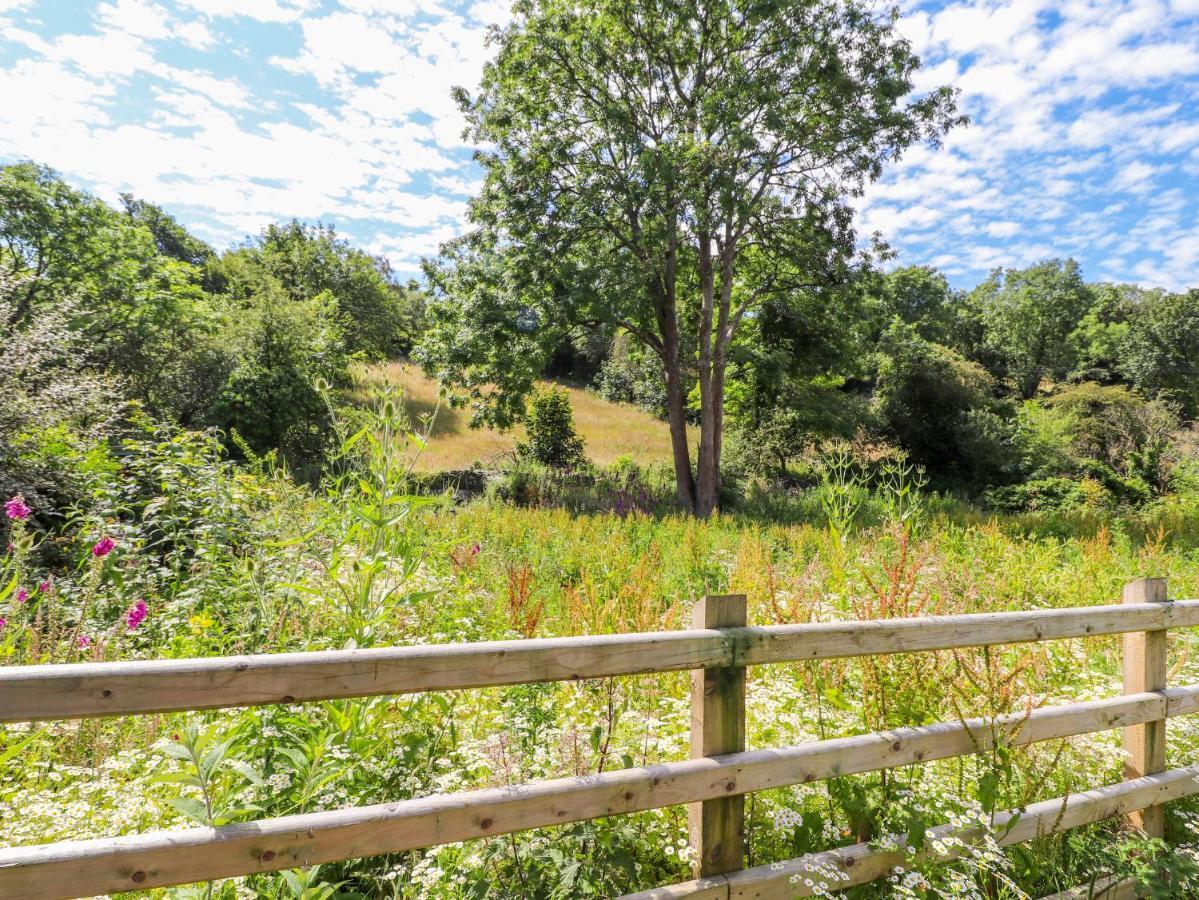 Villa Ffrwdd Galed Uchaf Tregarth Esterno foto